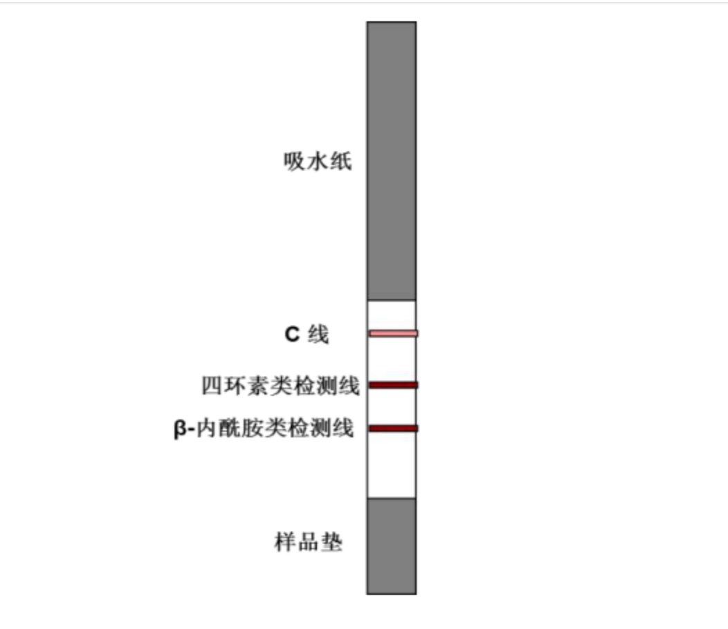 四環素類+β-內酰胺類抗生素檢測試紙條.jpg